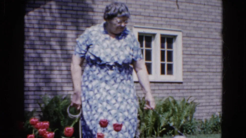 A woman in a blue patterned dress stands close to red tulips and leafy plants beside a brick residential exterior.