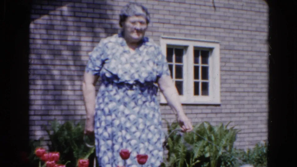 The woman faces the camera in a Wauconda garden, with red tulips, green plants, and a brick house visible behind her.