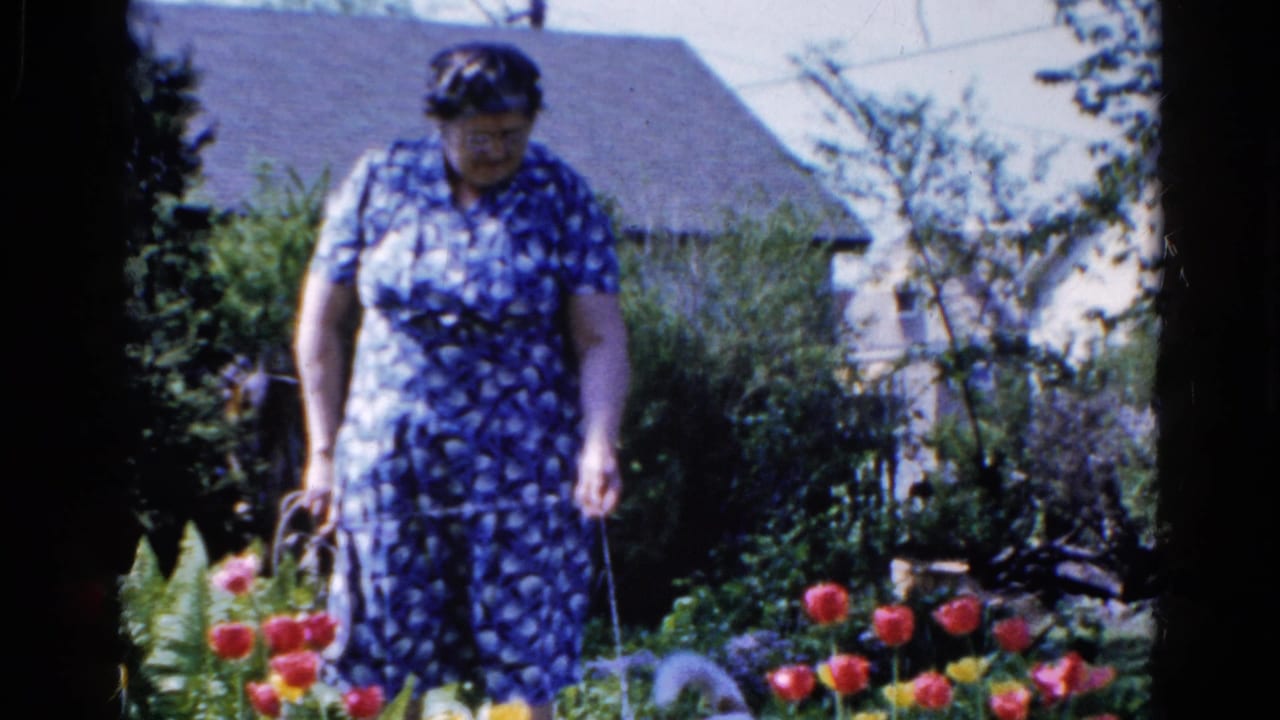 Woman in a blue patterned dress standing among tulips in a garden.