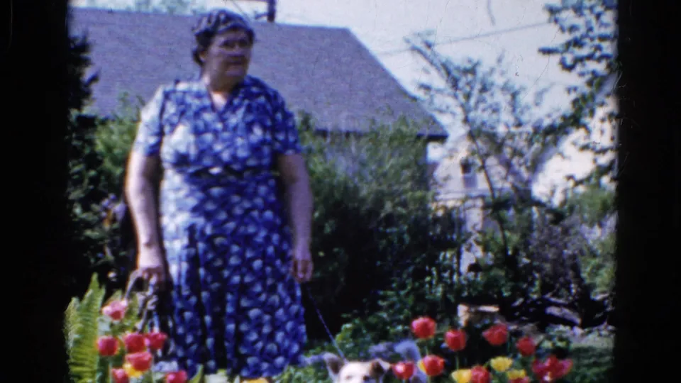 A woman in a blue patterned dress stands among tulips and greenery in a 1961 Wauconda backyard garden scene.