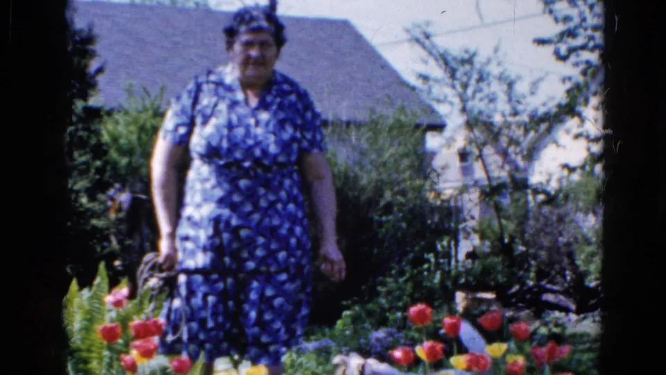 The woman continues tending tulips and garden beds in Wauconda, Illinois, captured on 8mm home-movie film in 1961.