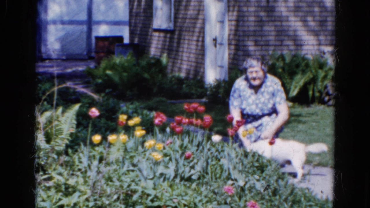 In 1961 Wauconda, Illinois home-movie footage, a woman in a blue floral dress kneels by tulips while a small white dog stands beside her.