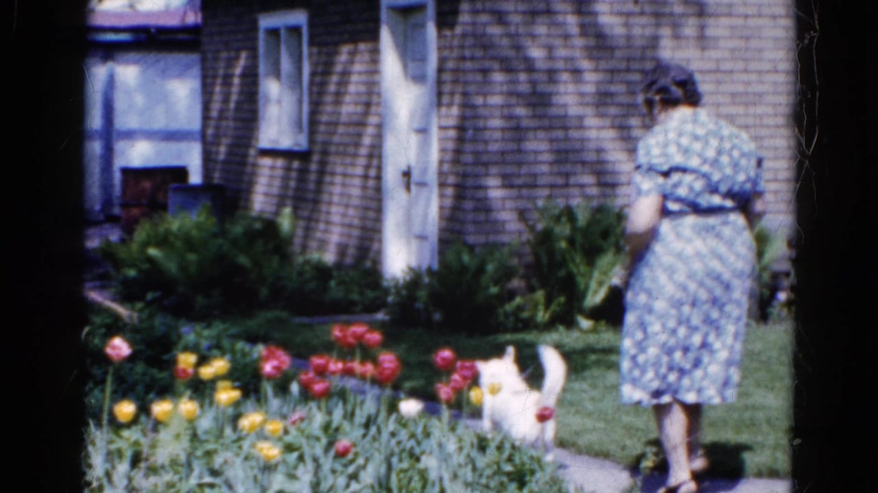 Woman in a blue dress stands by tulips as a small white dog walks near a garden path.