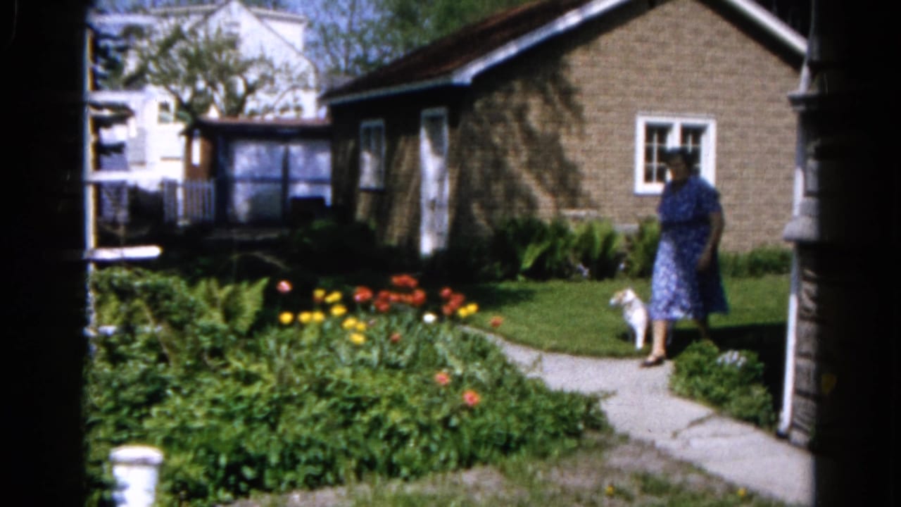 Woman in a blue dress stands on a garden path with a small white dog near tulips and a brick house.