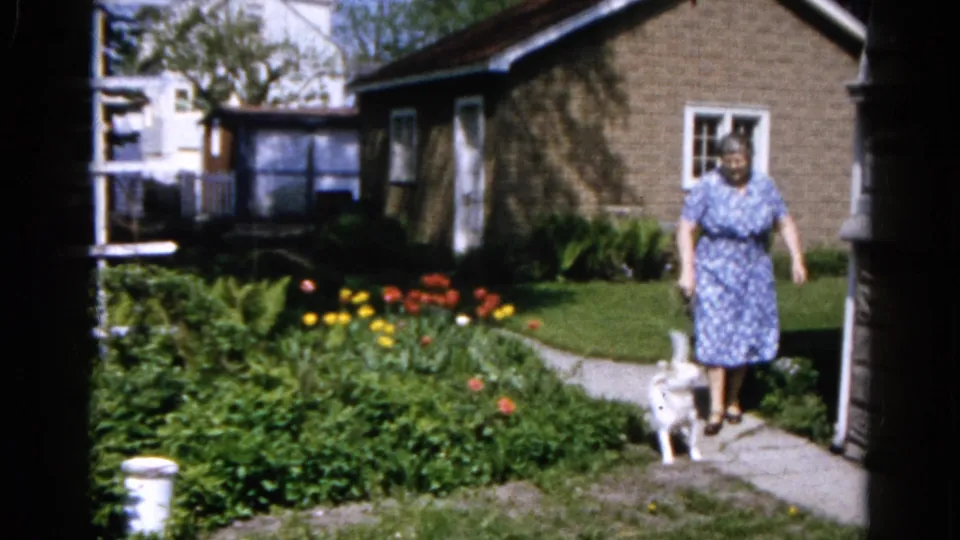 In the 1961 Wauconda yard scene, the woman and small white dog move along the concrete path past tulips and a brick house.
