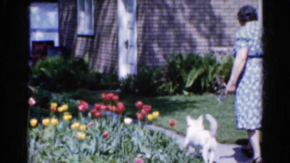 At the end of the 1961 Wauconda clip, the woman is seen from behind while the small white dog moves along the garden path.