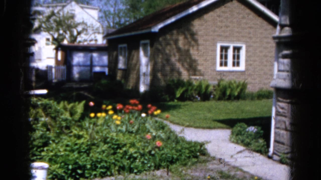 Sunny yard with brick house, tulip garden, lawn, and concrete path.