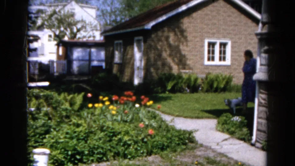 1961 Wauconda yard scene with a woman in a blue dress beside a small gray cat near the path, tulips, lawn, and brick house.