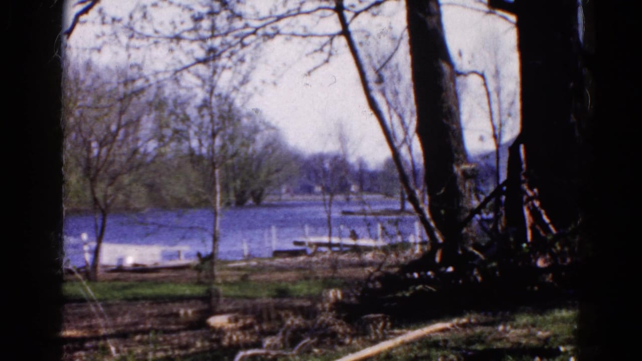 Lakeside yard with trees, a brick building edge, and water visible beyond the grass.