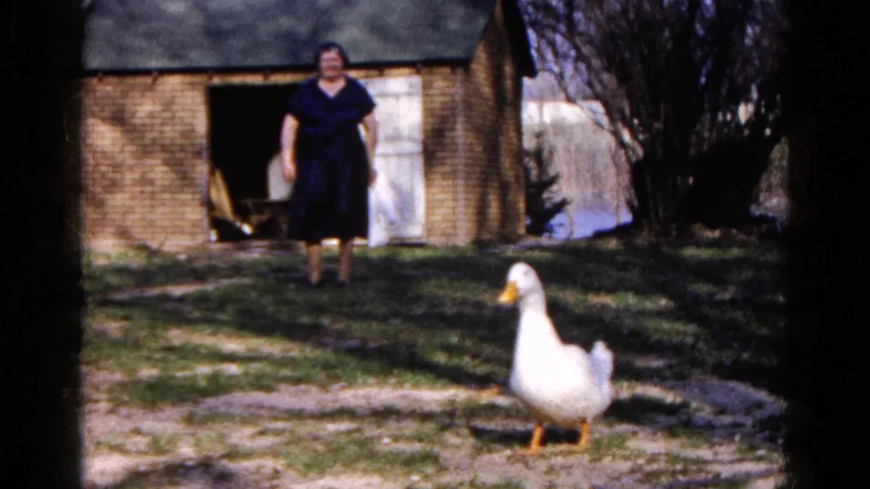 1961 Wauconda, Illinois home-movie frame with a white duck in the yard and a woman watching from a brick outbuilding doorway.