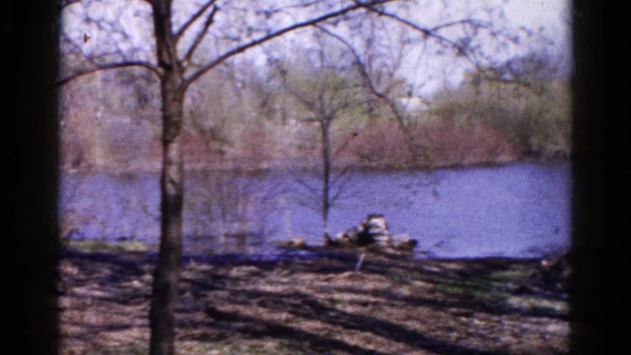 1961 Wauconda, Illinois lakeshore viewed through trees, with bare branches, shoreline brush, and blue water in soft 8mm color.