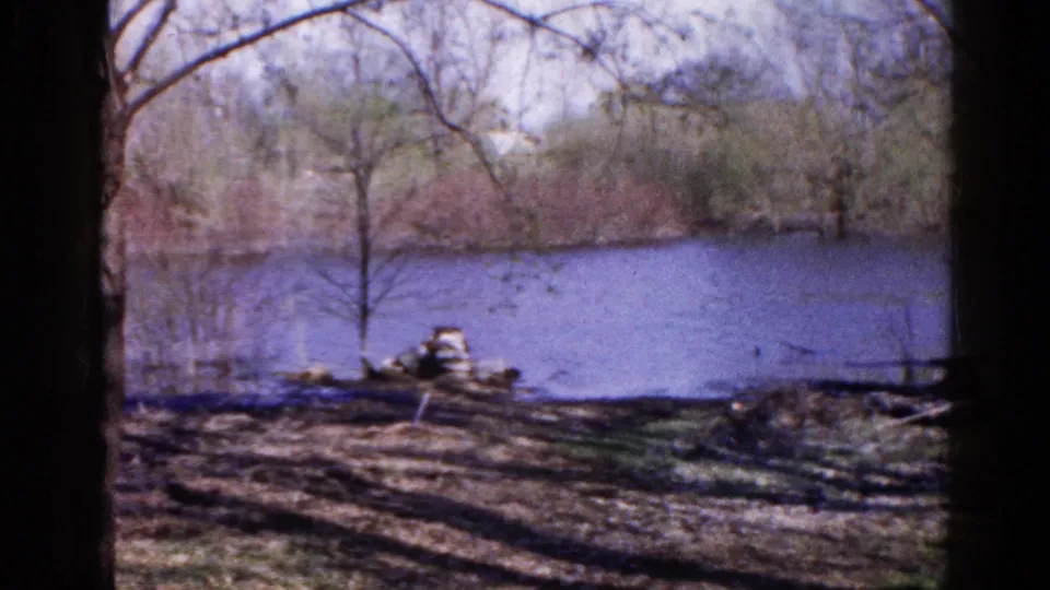 Wauconda lakeside view with dark foreground trunks, leafless branches, shoreline brush, and calm water in a 1961 home-movie frame.
