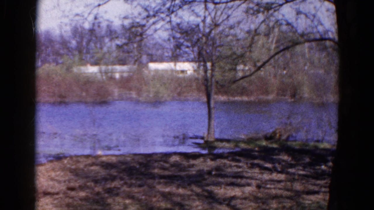 Bare trees and shaded ground beside a lake with a pale building across the water.