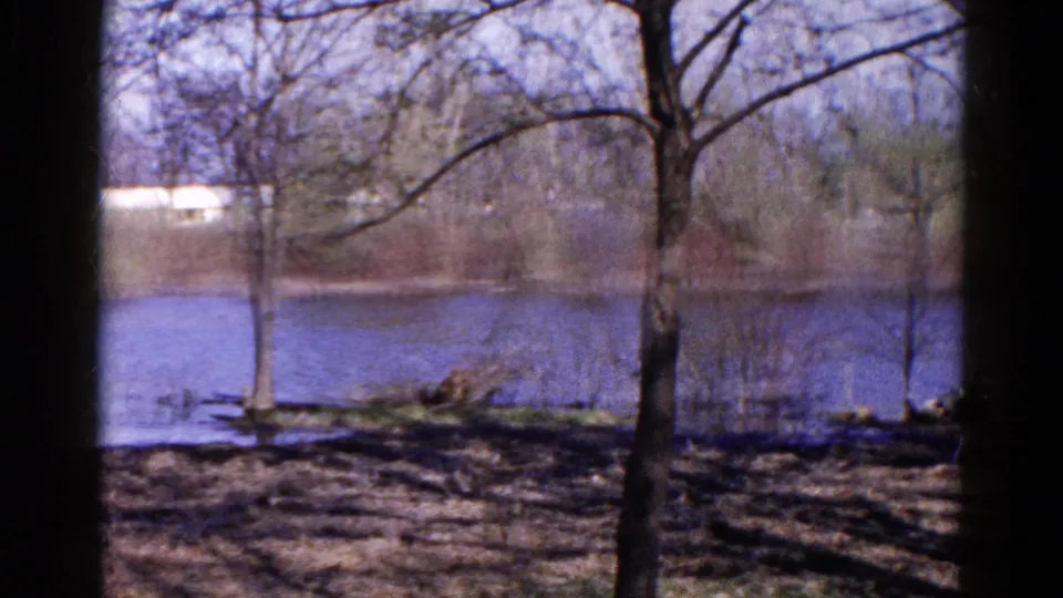 1961 8mm frame of a Wauconda lakeshore, with a foreground tree trunk, blue-toned water, and a distant pale building.