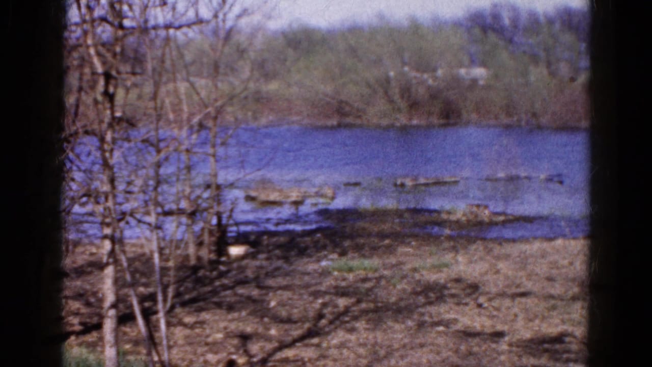 Bare trees frame blue water with logs near a muddy shoreline.
