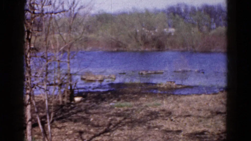 1961 Wauconda, Illinois lakeside view with leafless branches, calm blue water, logs, and distant trees across the shore.