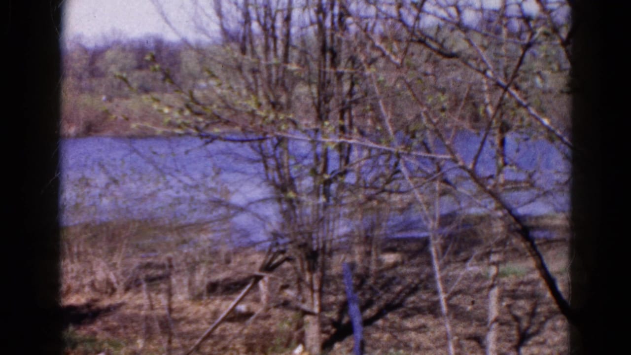 1961 Wauconda, Illinois home-movie still with bare trees, thin branches, and calm water beyond.