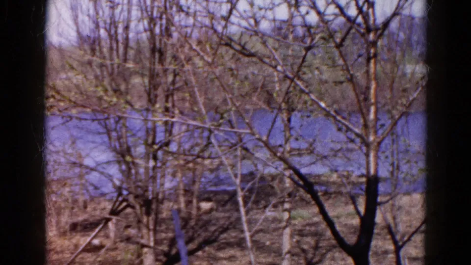 1961 Wauconda, Illinois 8mm still showing crossed bare branches over blue water and a dry shoreline.