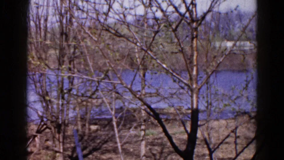 1961 Wauconda, Illinois home-movie frame with leafless trees in the foreground and water behind them.