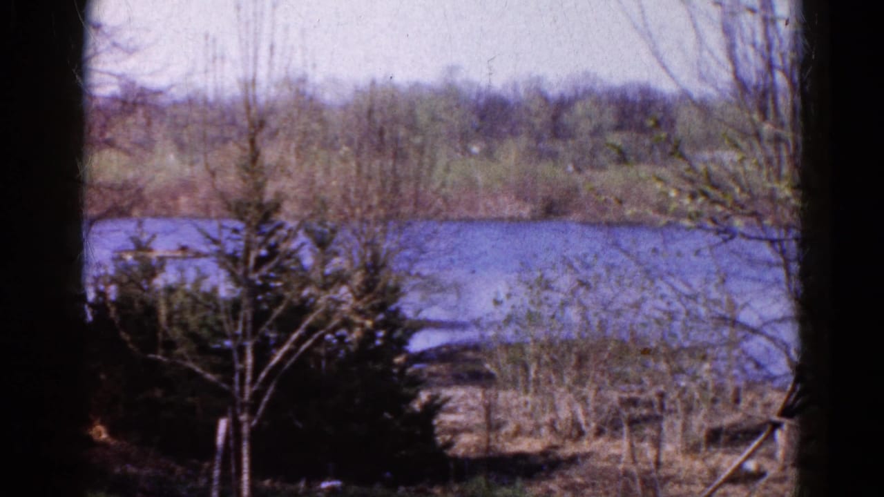 Blue lake beyond bare branches and small evergreens along a wooded shoreline.