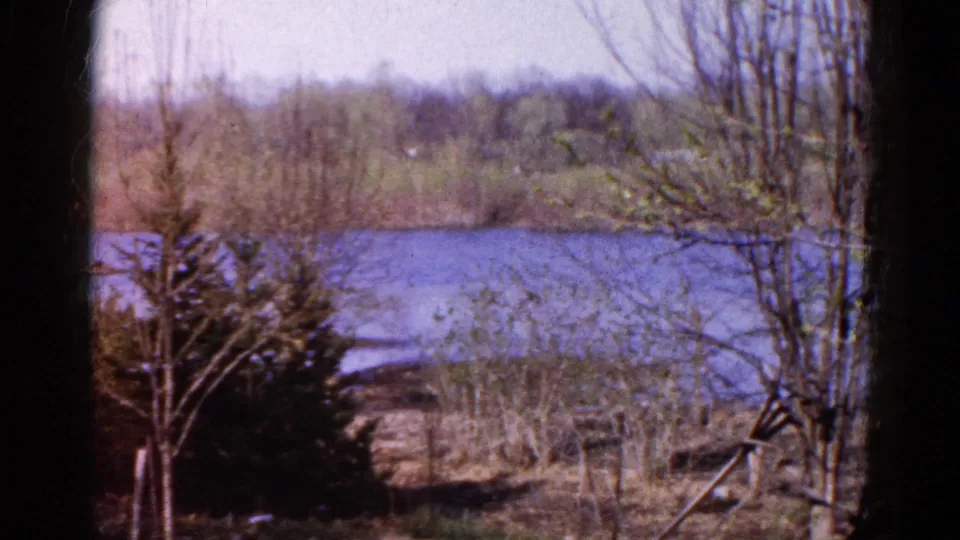 1961 Wauconda lakeside view with water, shoreline reeds, leafless branches, and soft distant woods.
