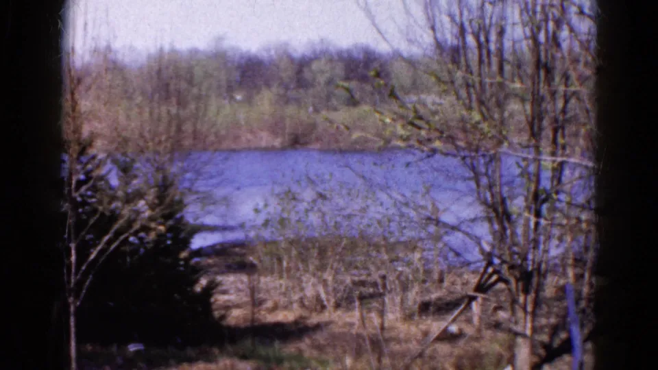 1961 Wauconda home-movie frame showing the lake through foreground branches and evergreen growth near the shore.