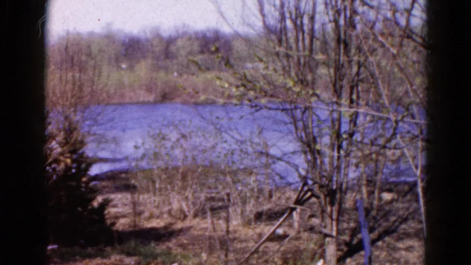 1961 Wauconda, Illinois frame with lake water, shoreline reeds, bare branches, and wind-stirred spring vegetation.