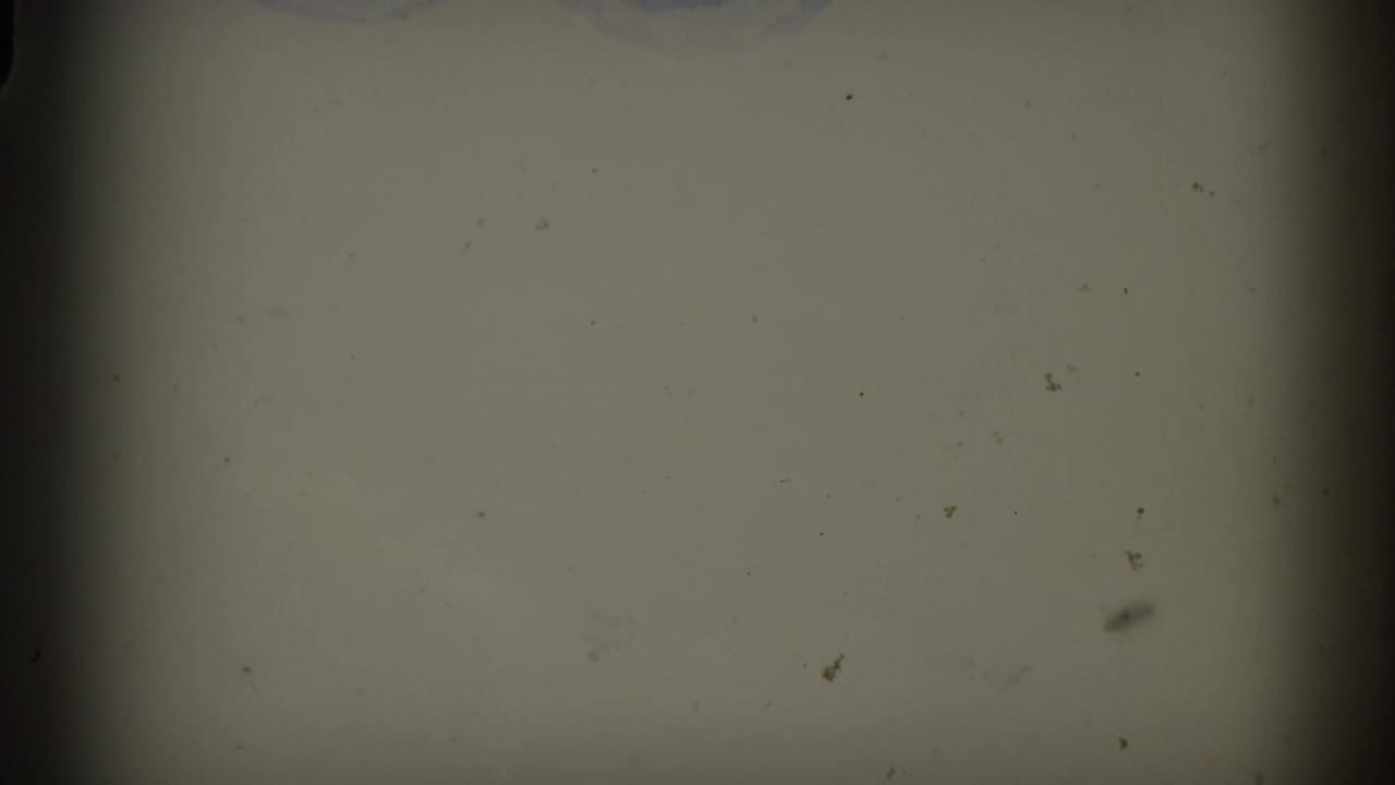 A mostly blank, greenish film area with dust and a partial edge of the lakeside scene from the 8mm contact sheet.