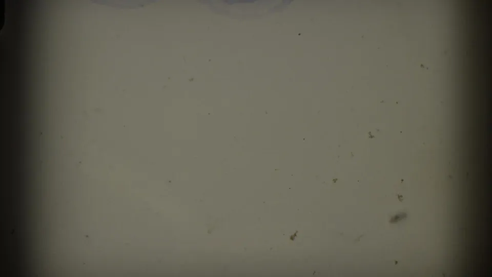 A mostly blank, greenish film area with dust and a partial edge of the lakeside scene from the 8mm contact sheet.