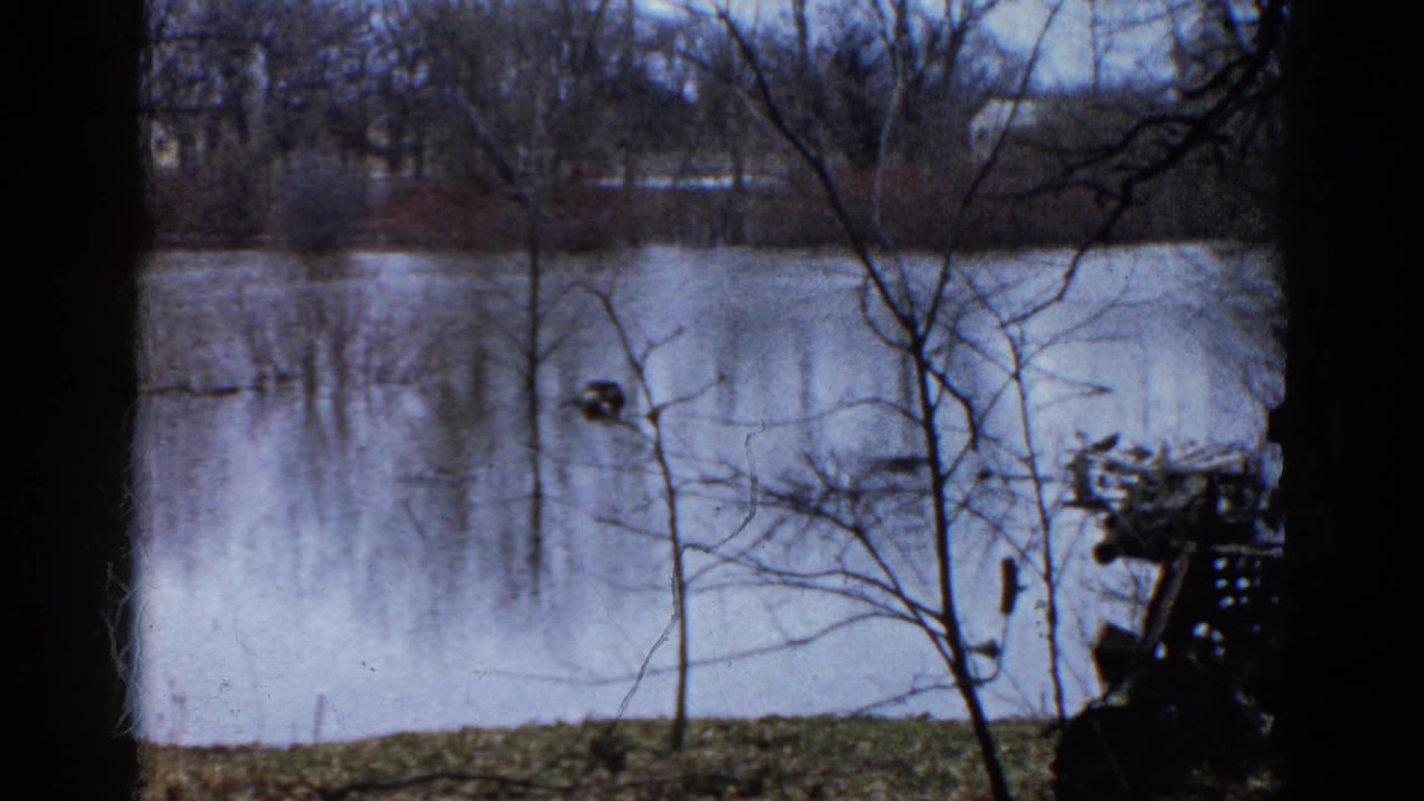 1961 Wauconda, Illinois 8mm frame showing a quiet pond behind bare branches and a grassy bank.