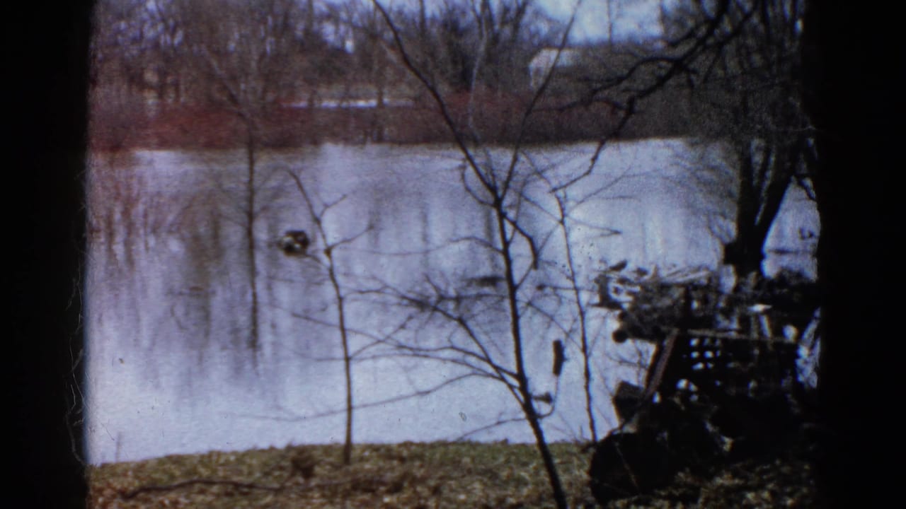 Bare trees and calm pond water with a dark structure near the right bank.