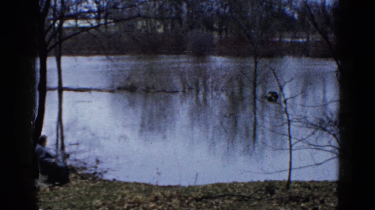 A seated person appears near the lakeshore, partly framed by tree trunks and winter branches.