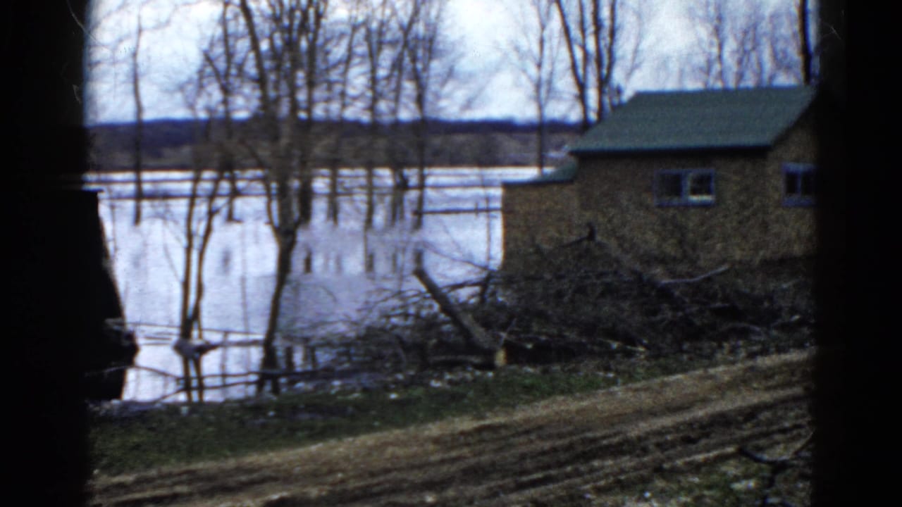 Floodwater surrounds trees near a small building and brush pile.