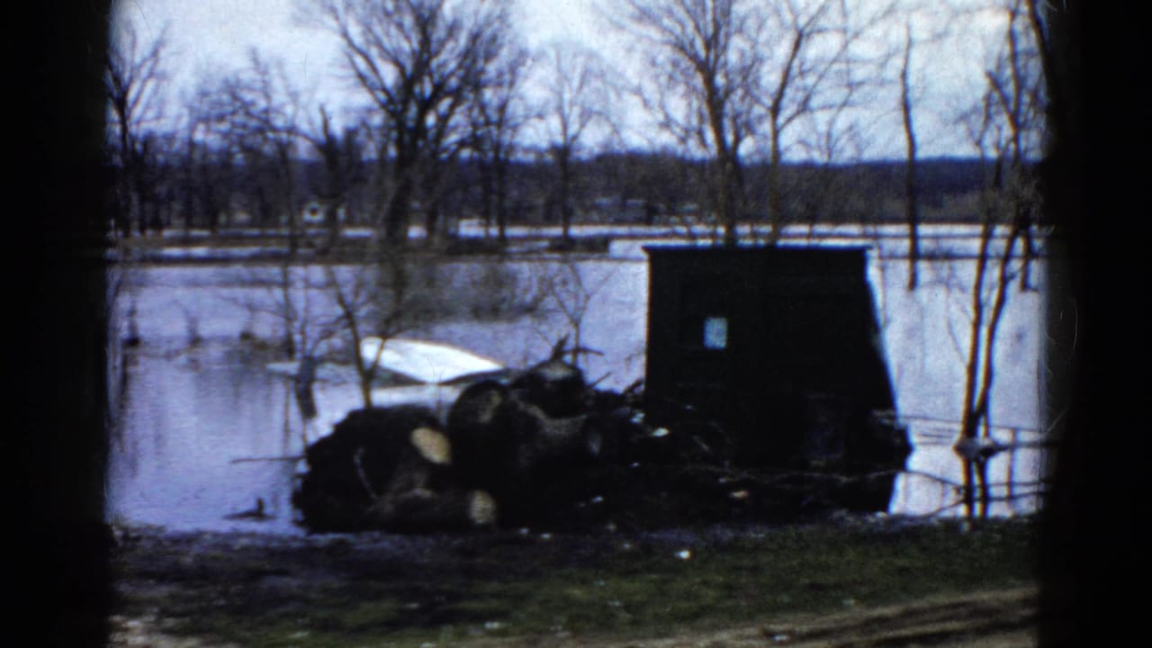 Dark shed-like structure, cut logs, and debris sit beside floodwater and bare trees.