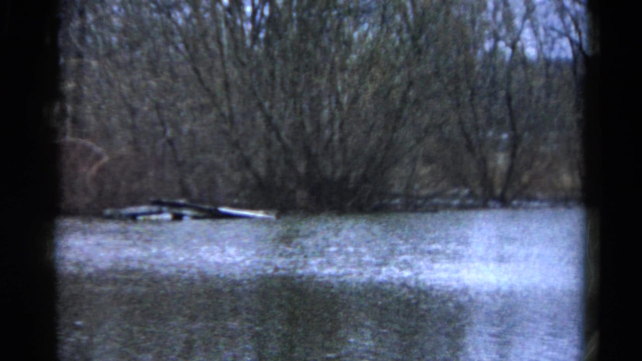 1961 Wauconda, Illinois 8mm view of floodwater by leafless trees, with floating debris near the shore.