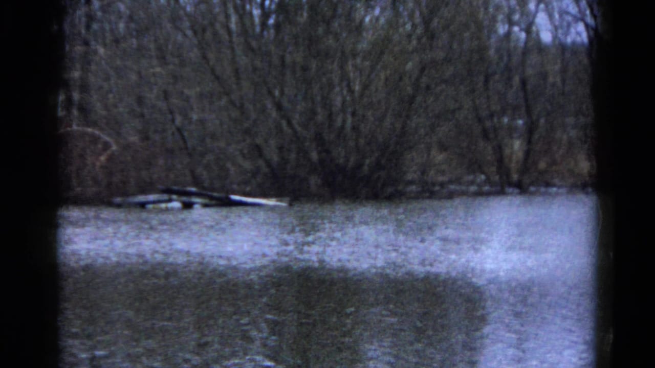 Flooded woodland with still water, bare trees, debris, and dark 8mm frame borders.