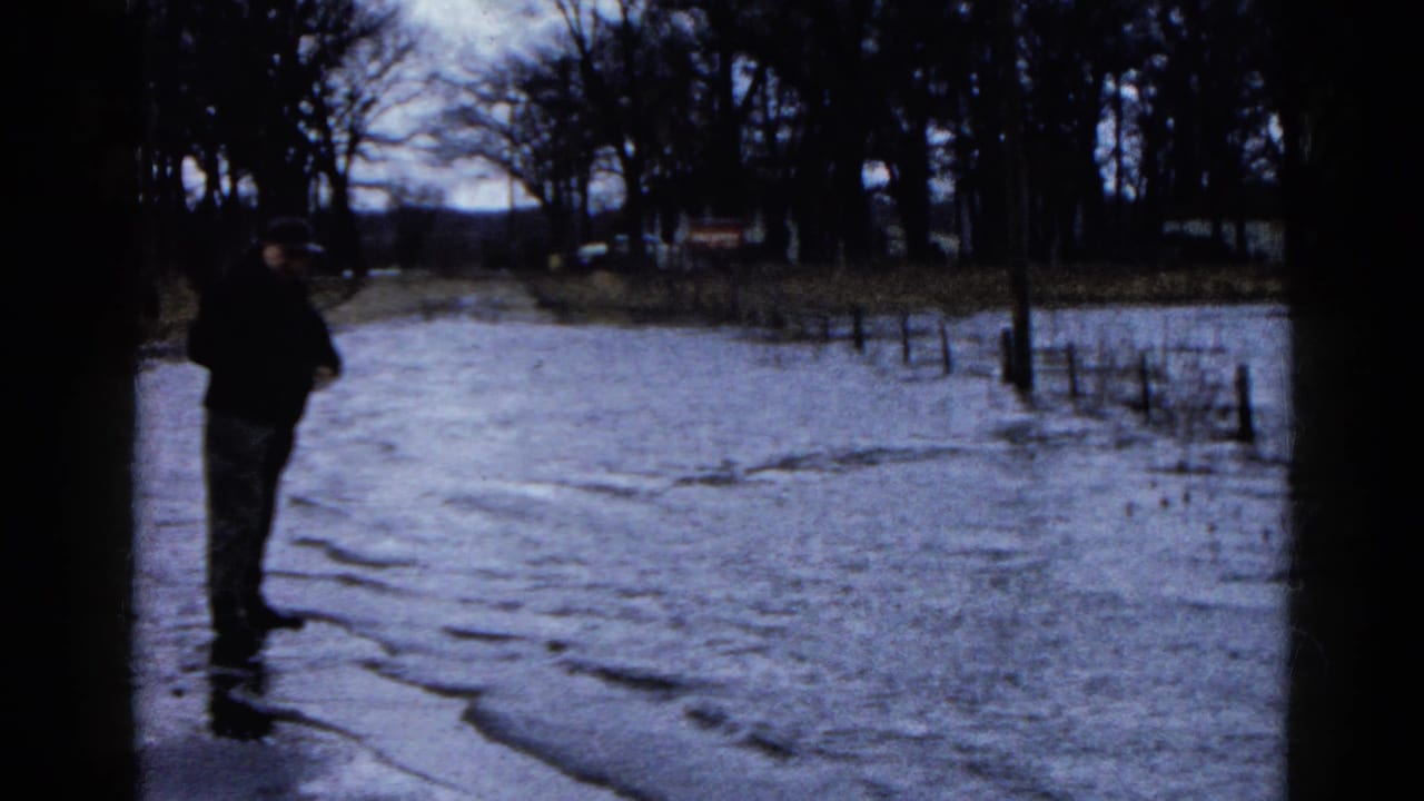 Man stands beside floodwater on a tree-lined road with bare branches in the background.