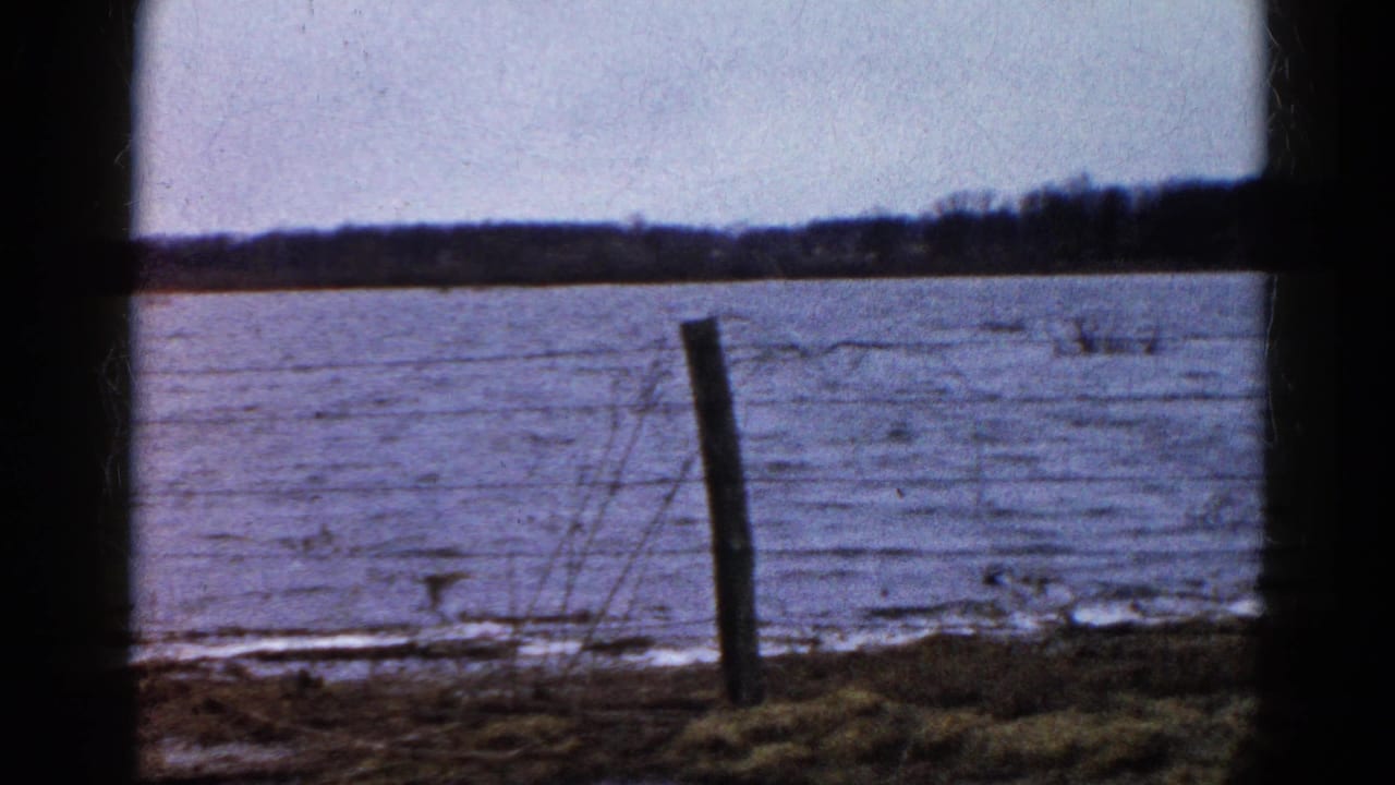 Floodwater behind a leaning fence post with distant trees under a cloudy sky.