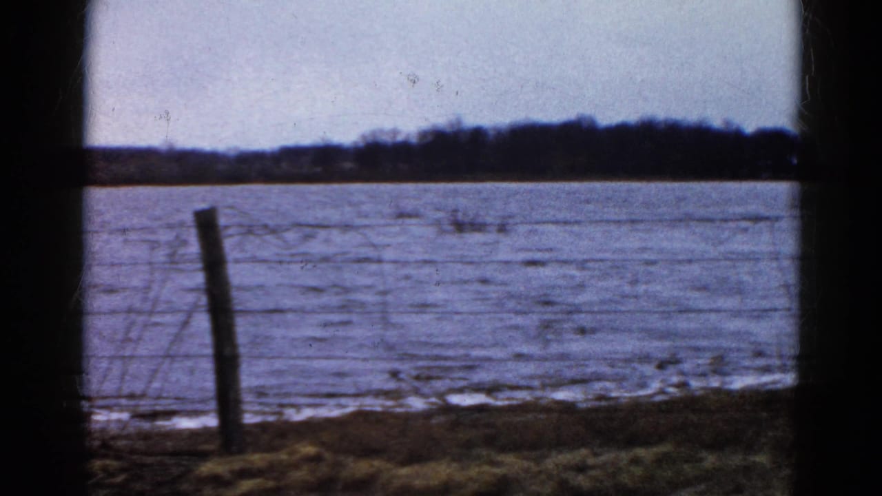 Flooded field and fence post with low trees in the distance.