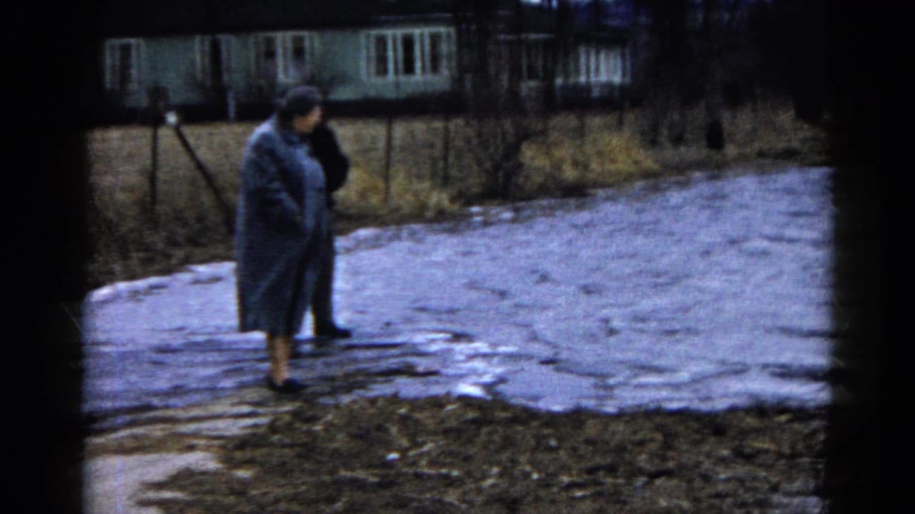 Woman in a long coat stands near a muddy, snow-dappled path by water.