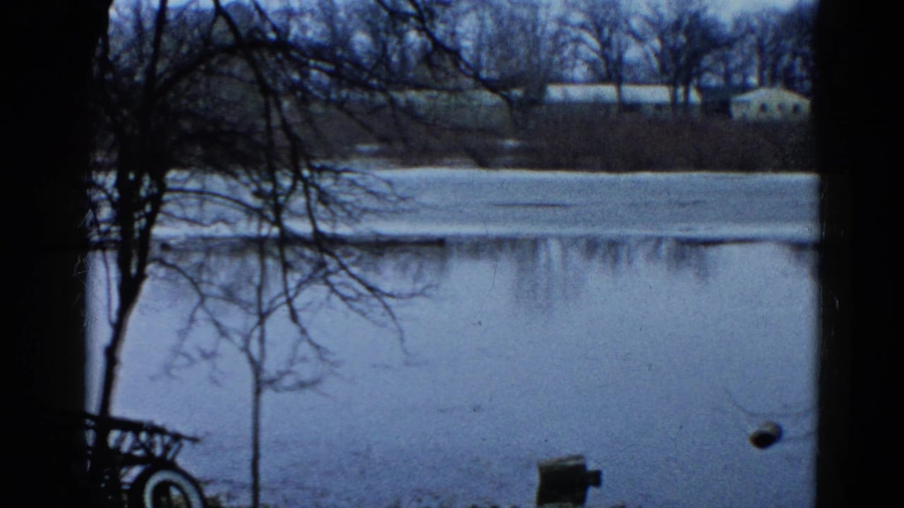 Frozen lake seen through dark tree trunks, with bare branches and distant low buildings across the water.