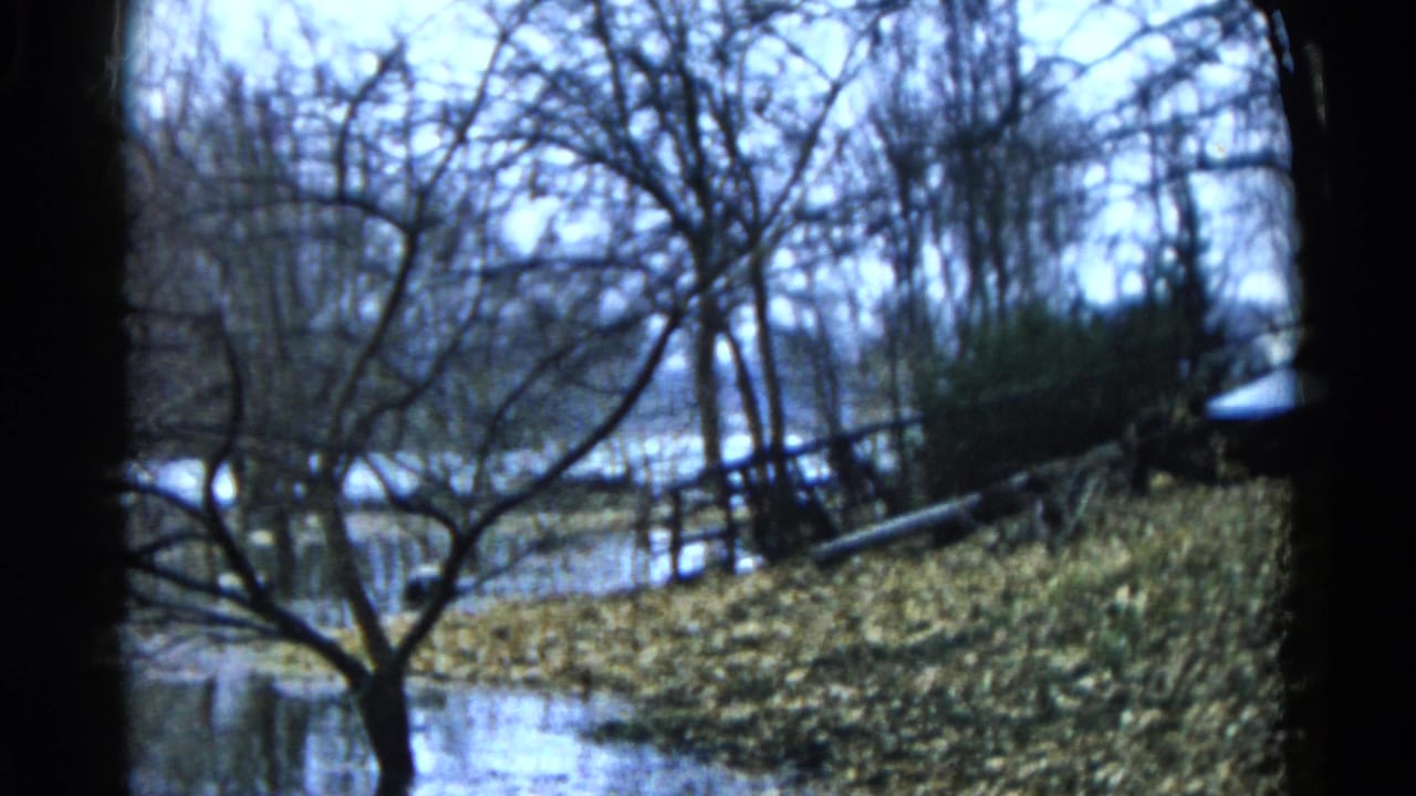 1961 Wauconda, Illinois 8mm frame showing bare trees, flooded ground, brush, and calm water in a rural-looking setting.