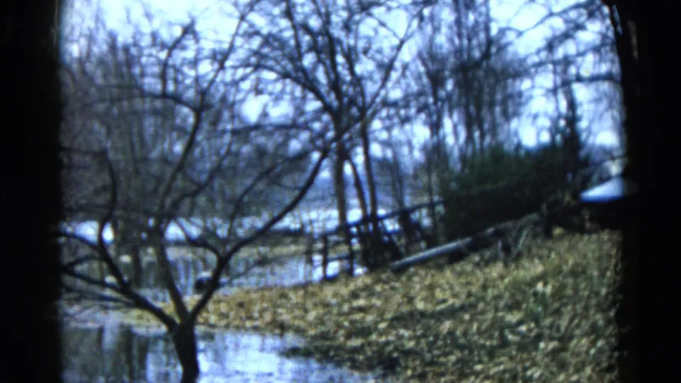 1961 Wauconda, Illinois 8mm frame showing bare trees, flooded ground, brush, and calm water in a rural-looking setting.