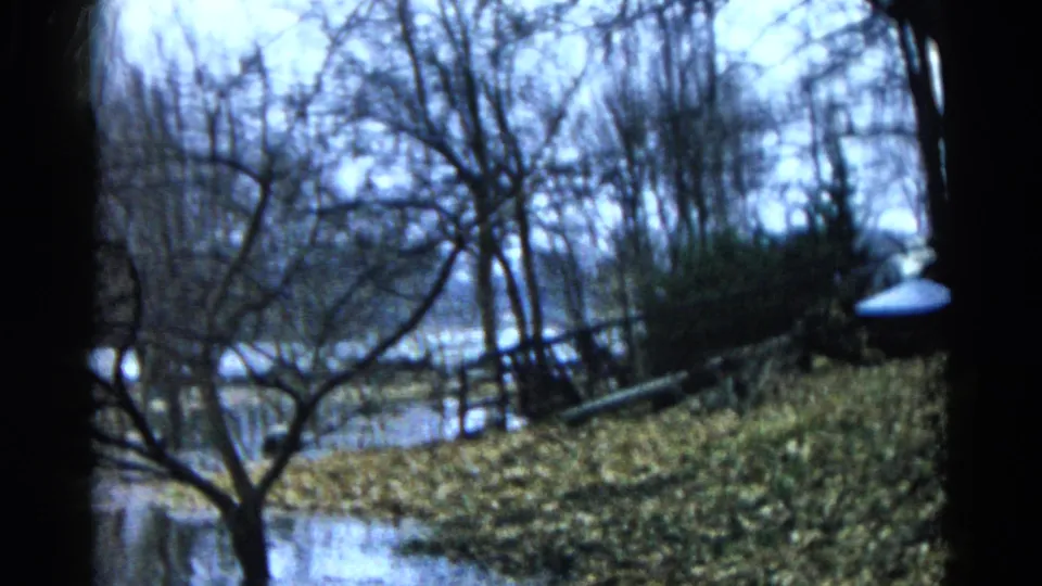 1961 Wauconda, Illinois home-movie frame with leafless trees, a wet grassy bank, brush, and still water beyond.