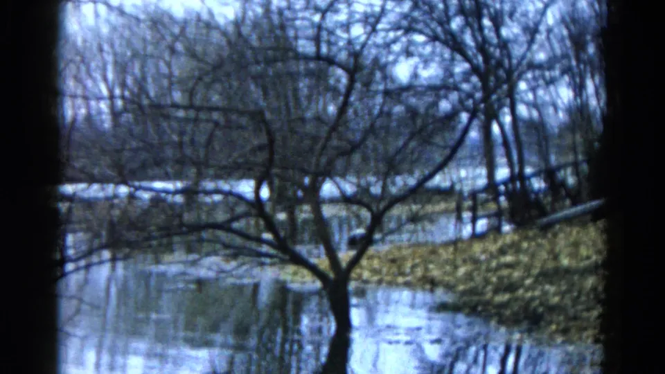 1961 Wauconda, Illinois frame with a leafless tree near reflective pond water and damp woodland ground.
