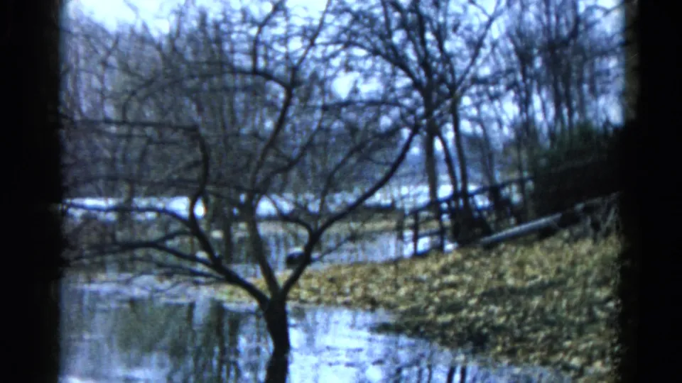 1961 Wauconda, Illinois 8mm frame looking across waterlogged leaves, bare branches, and a reflective pond edge.