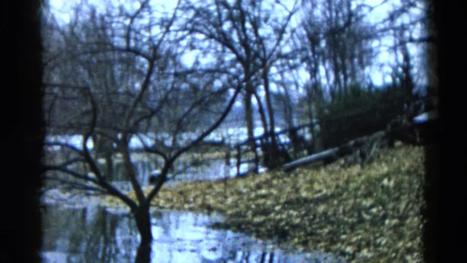 1961 Wauconda, Illinois frame showing a quiet flooded woodland pond with bare trees, brush, and cool blue-green film color.