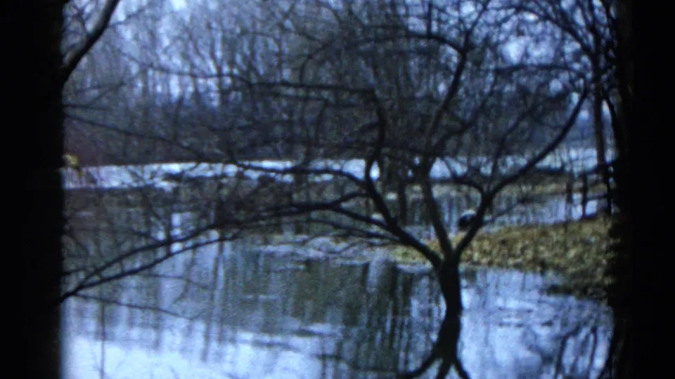 A later 1961 Wauconda frame looks through leafless branches toward calm lake water and a shoreline area with a small dark figure.