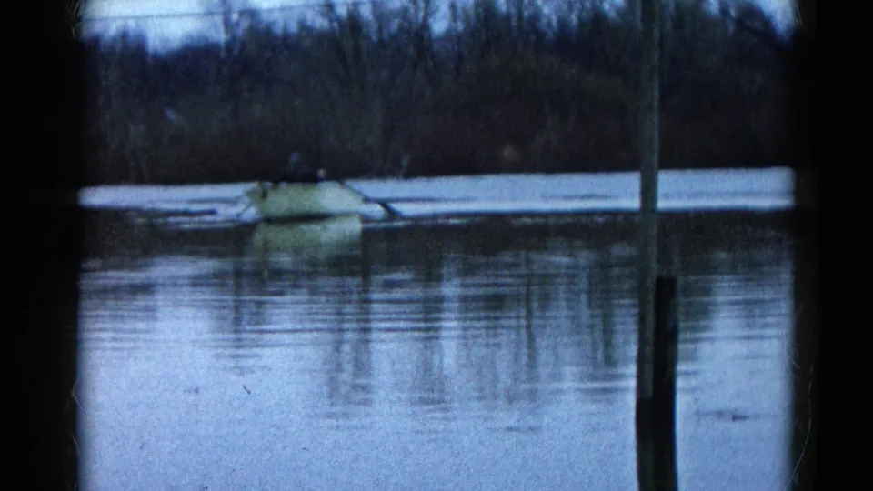 The yellow rowboat appears farther out on the Wauconda pond, with bare trees and a pale shoreline behind it.