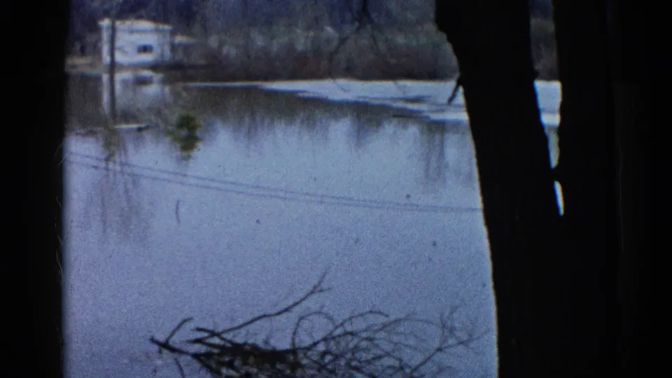 1961 Wauconda flood aftermath frame showing water across a neighborhood, a distant house, foreground branches, and utility lines.